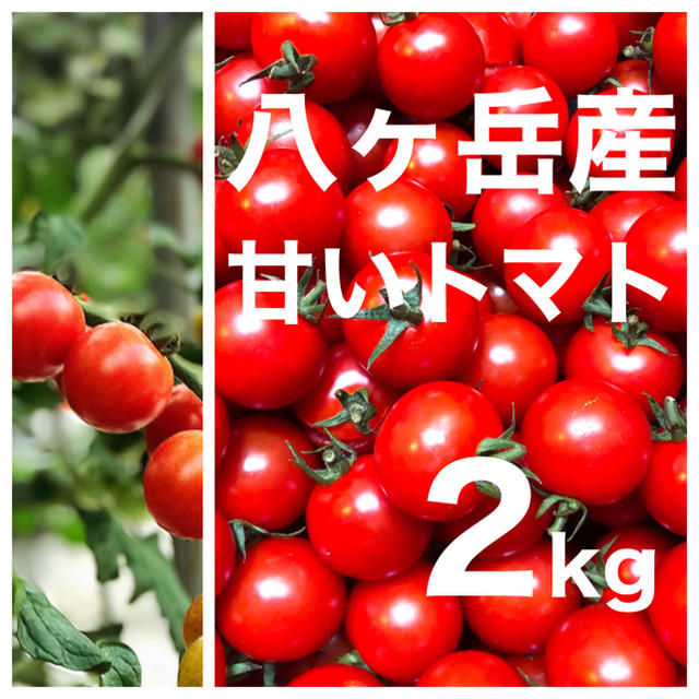 八ヶ岳(長野県) 産　ミニトマト 約2kg バラ 甘くて味が濃い　免疫力UPに 食品/飲料/酒の食品(野菜)の商品写真