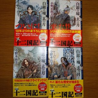 白銀の墟　玄の月 十二国記 第一から四巻(文学/小説)