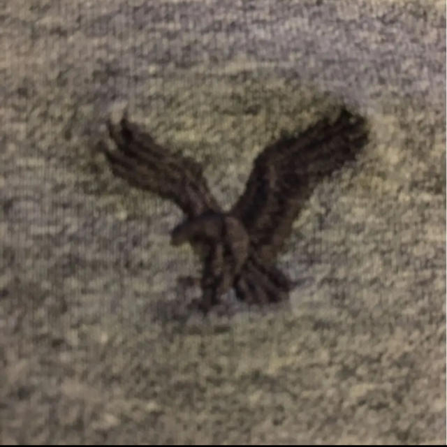 American Eagle(アメリカンイーグル)の【アメリカンイーグル/半袖Tシャツ】 メンズのトップス(Tシャツ/カットソー(半袖/袖なし))の商品写真