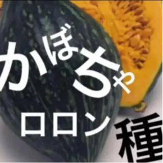 専用ページ ❁¨̮ かぼちゃ たね(ドライフラワー)