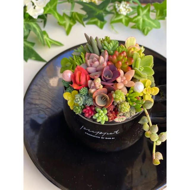 専用です⭐多肉植物♥️コーヒーカップアレンジ寄せ植え - インテリア小物 専用です⭐多肉植物♥️コーヒーカップアレンジ寄せ植え - インテリア小物