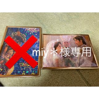 ラプンツェル(ラプンツェル)のmiy＊様専用(その他)