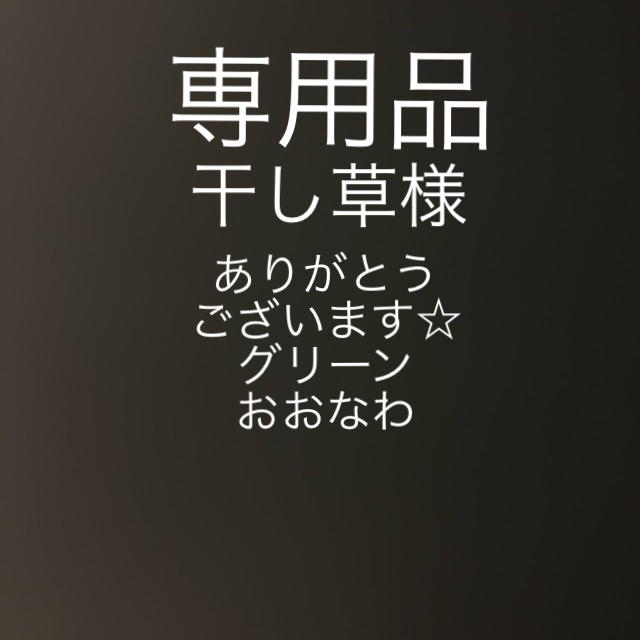 専用　おおなわとび　グリーン　緑　5.6m 大縄　長なわ  キッズ/ベビー/マタニティのおもちゃ(知育玩具)の商品写真