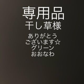 専用　おおなわとび　グリーン　緑　5.6m 大縄　長なわ (知育玩具)