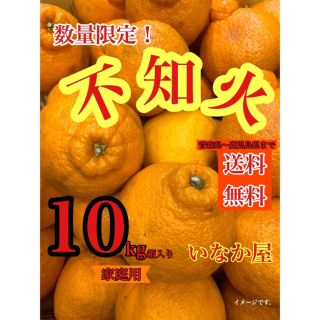 有田　不知火　家庭用　セール  特価価格　傷あり(フルーツ)