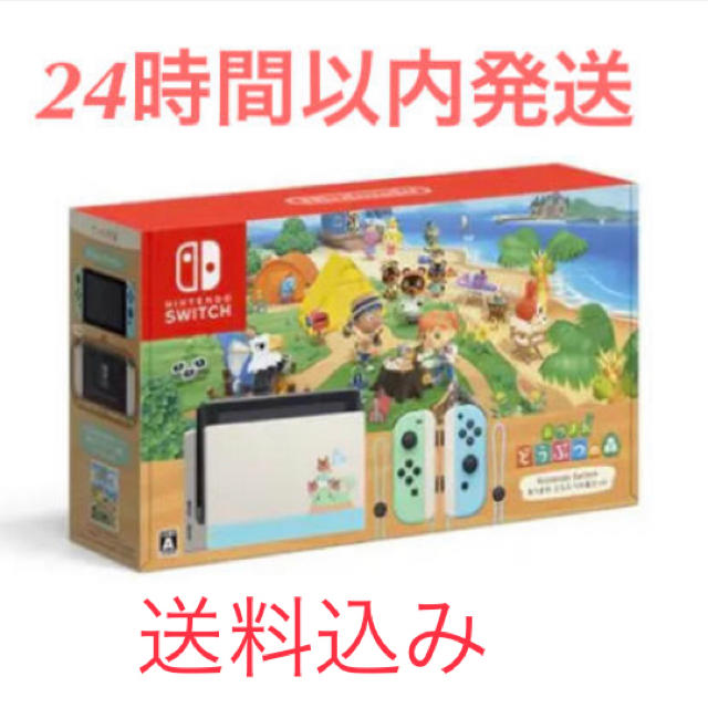 新品　Nintendo Switch あつまれどうぶつの森セット