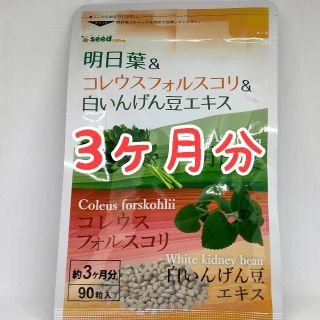 ダイエットサプリメント 明日葉 コレウスフォルスコリ 白いんげん豆 約3ヵ月分(ダイエット食品)