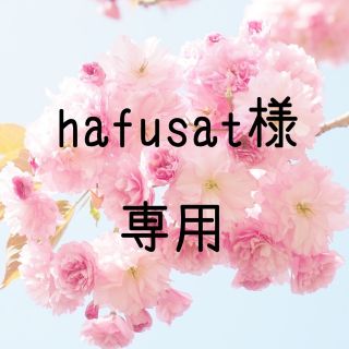 hafusat様専用  お米　令和元年　愛媛県産松山三井　白米　30㎏(米/穀物)