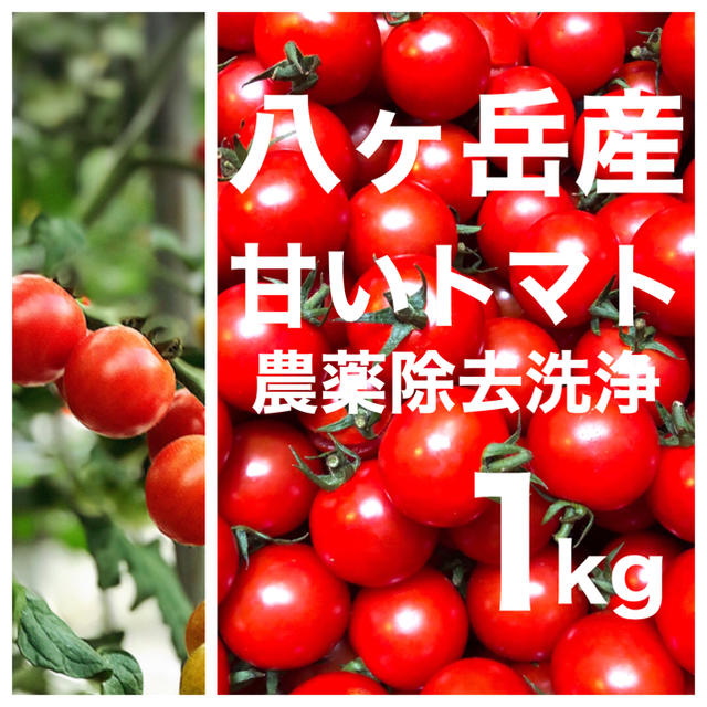 八ヶ岳(長野県) 産　ミニトマト 約1kg バラ 甘くて味が濃い　免疫力UPに 食品/飲料/酒の食品(野菜)の商品写真