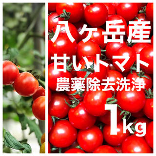 八ヶ岳(長野県) 産　ミニトマト 約1kg バラ 甘くて味が濃い　免疫力UPに(野菜)