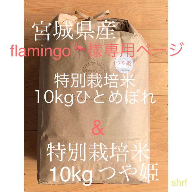 つや姫10キロ精米ひとめぼれ10キロ精米　キラキラ米❤️　米/穀物