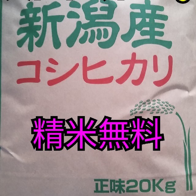 【即購入OK】30年産新潟コシヒカリ玄米20キロ大粒米　精米無料　おまけ付!