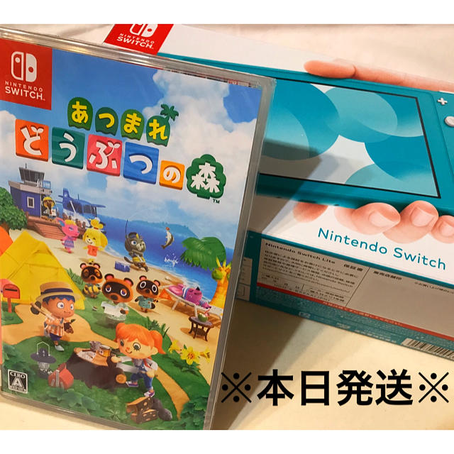 Nintendo Switch(ニンテンドースイッチ)のスイッチライト エンタメ/ホビーのゲームソフト/ゲーム機本体(家庭用ゲーム機本体)の商品写真