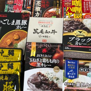 カレー三昧15点セット(レトルト食品)