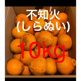 和歌山県 訳あり傷あり不知火(しらぬい)約10Kg(フルーツ)