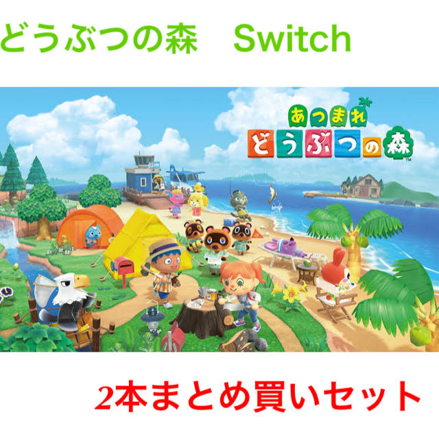 あつまれどうぶつの森　Switchエンタメ/ホビー