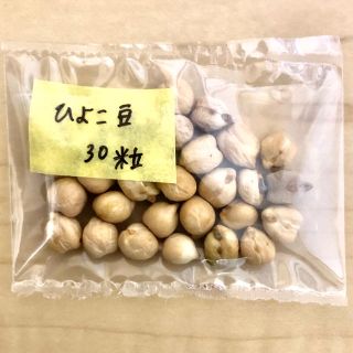 【有機種子・オーガニック野菜の種】ひよこ豆の種30粒 発芽豆 家庭菜園(野菜)