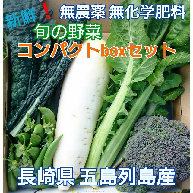 無農薬❗新鮮野菜セット〈コンパクトbox〉(ラインナップのこ確認を) 五島列島産 食品/飲料/酒の食品(野菜)の商品写真