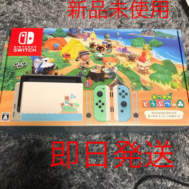 Nintendo Switch - あつまれどうぶつの森　switch