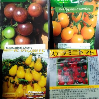 1月～5月蒔き　イタリア野菜の種子など。カラフルなトマトの種　4種類10粒ずつ(野菜)