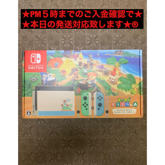 Nintendo Switch あつまれどうぶつの森セット 同梱版 Nintendo Switch あつまれどうぶつの森セット 同梱版
