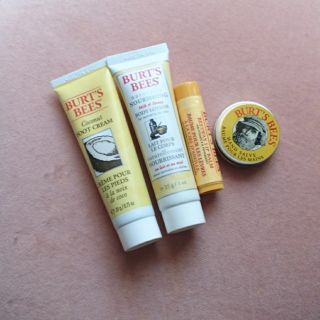 バーツビーズ(BURT'S BEES)の新品 バーツビーズ フットクリーム ボディローション リップクリーム バーム(リップケア/リップクリーム)