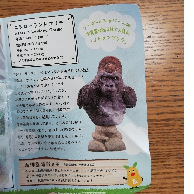 東山動物園　カプセルトイ　ニシローランドゴリラ エンタメ/ホビーのフィギュア(その他)の商品写真