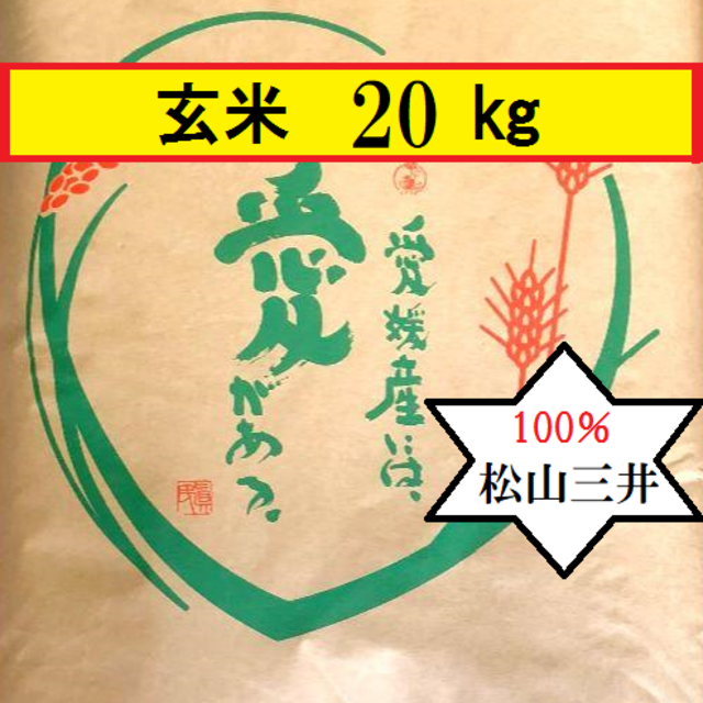 食品お米　令和元年　愛媛県産松山三井　玄米　20㎏