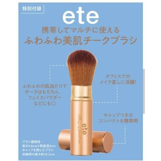 エテ(ete)のMORE 4月号 付録 ete ふわふわチークブラシ(ブラシ・チップ)