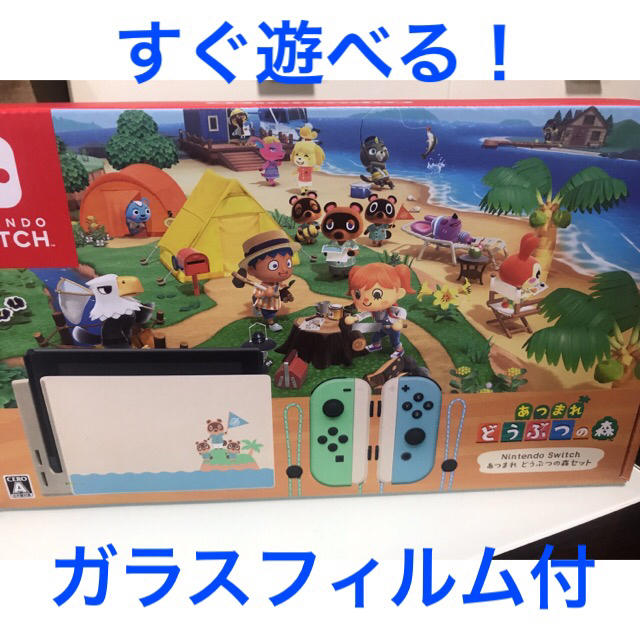 Nintendo Switch - Nintendo  Switch  あつまれ どうぶつの森  セット