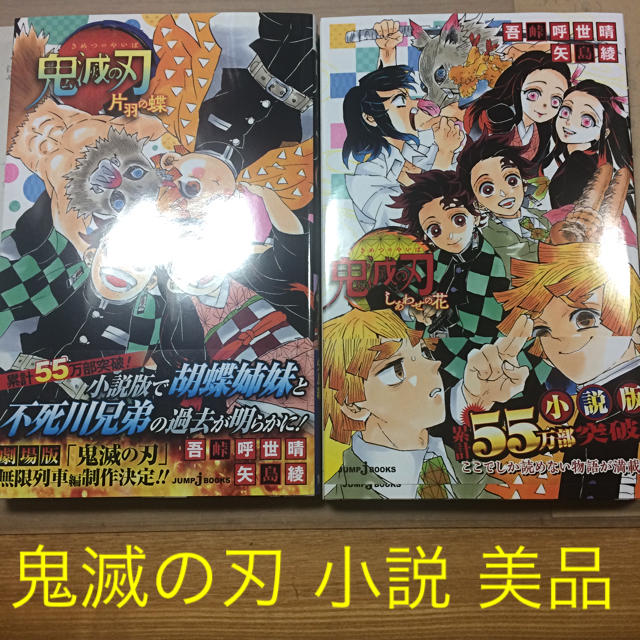 鬼滅の刃 小説 2冊セット エンタメ/ホビーの本(文学/小説)の商品写真