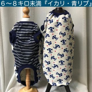 ダックス６〜８キロ未満『イカリ柄・青リブ』メルロコ　犬服(ペット服/アクセサリー)