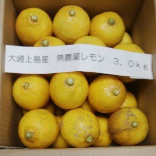 広島県大崎上島産無農薬レモン3.0kg(フルーツ)