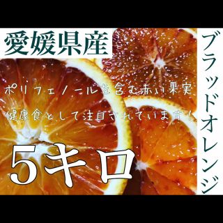 愛媛県産ブラッドオレンジ　5キロ(フルーツ)