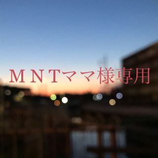 ムジルシリョウヒン(MUJI (無印良品))のMNTママ様専用　無印ジュートマイバッグB5(トートバッグ)