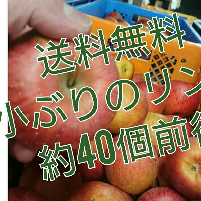 会津産小ぶりの訳ありリンゴ約40個。 食品/飲料/酒の食品(フルーツ)の商品写真