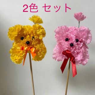 カーネーション プードル ピック 中  (ピンク&オレンジ ) 2本セット(その他)