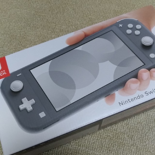 Switch LITE スイッチ ライト グレー