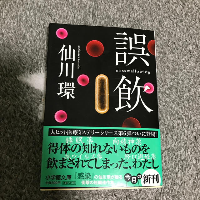 誤飲 エンタメ/ホビーの本(文学/小説)の商品写真