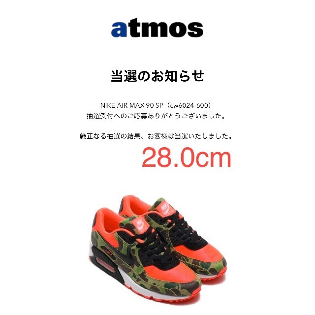 送料込 NIKE AIR MAX 90 SP