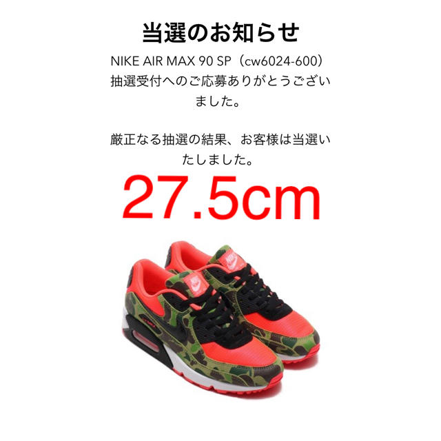 NIKE AIR MAX 90 DUCK CAMO atmosメンズ