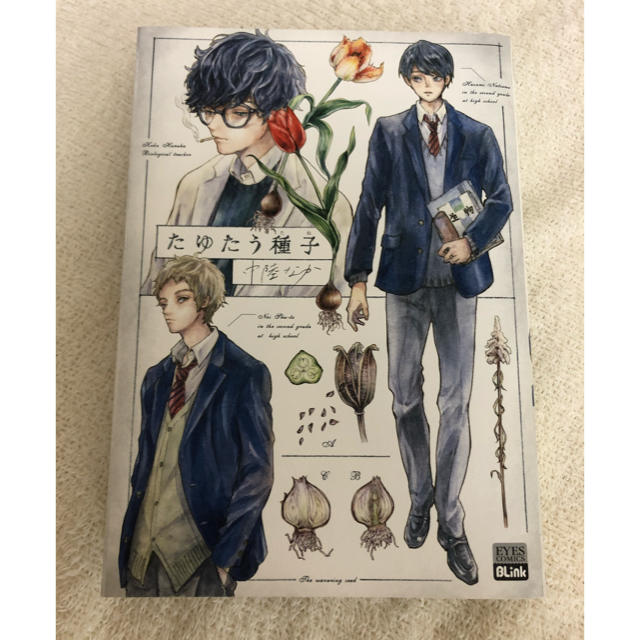 集英社(シュウエイシャ)のたゆたう種子 中陸なか BL 漫画 コミック 単行本 初版 エンタメ/ホビーの漫画(ボーイズラブ(BL))の商品写真