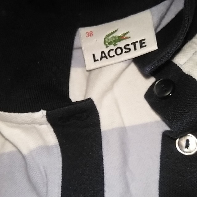 LACOSTE(ラコステ)のLACOSTE ポロシャツ レディースのトップス(ポロシャツ)の商品写真