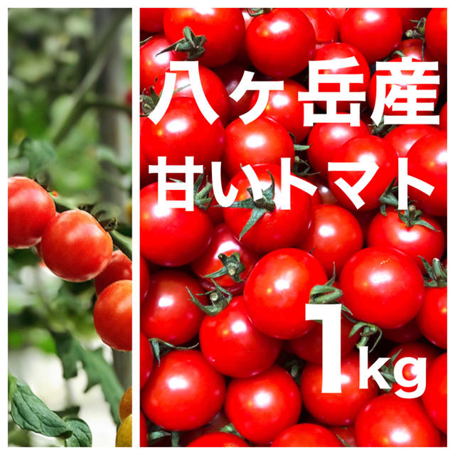 八ヶ岳(長野県) 産　ミニトマト 約1kg バラ 甘くて味が濃い　免疫力UPに 食品/飲料/酒の食品(野菜)の商品写真
