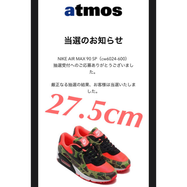 airmax90 duck camo エアマックス90 ダックカモ