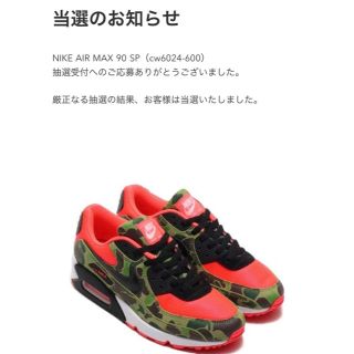 ナイキ(NIKE)のairmax 90 duck camo(スニーカー)