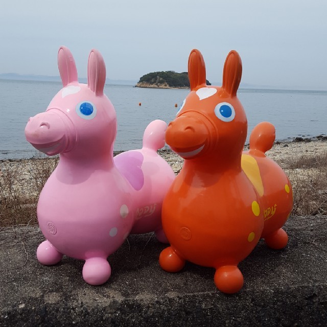 Rody(ロディ)のロディ キッズ/ベビー/マタニティのおもちゃ(その他)の商品写真