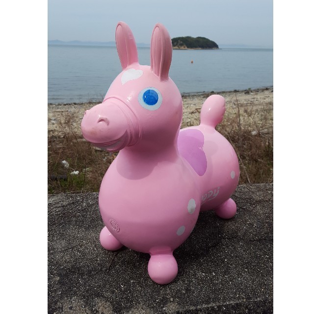 Rody(ロディ)のロディ キッズ/ベビー/マタニティのおもちゃ(その他)の商品写真