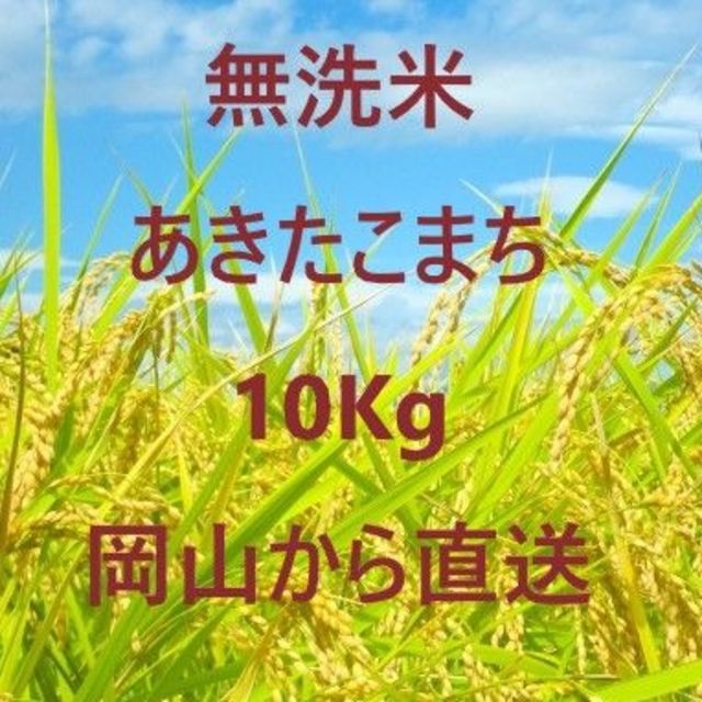 あきたこまち10kg【玄米・上白米・無洗米】 食品/飲料/酒の食品(米/穀物)の商品写真