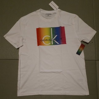 カルバンクライン(Calvin Klein)のカルバン・クライン　Tシャツ　USサイズ　L(Tシャツ/カットソー(半袖/袖なし))